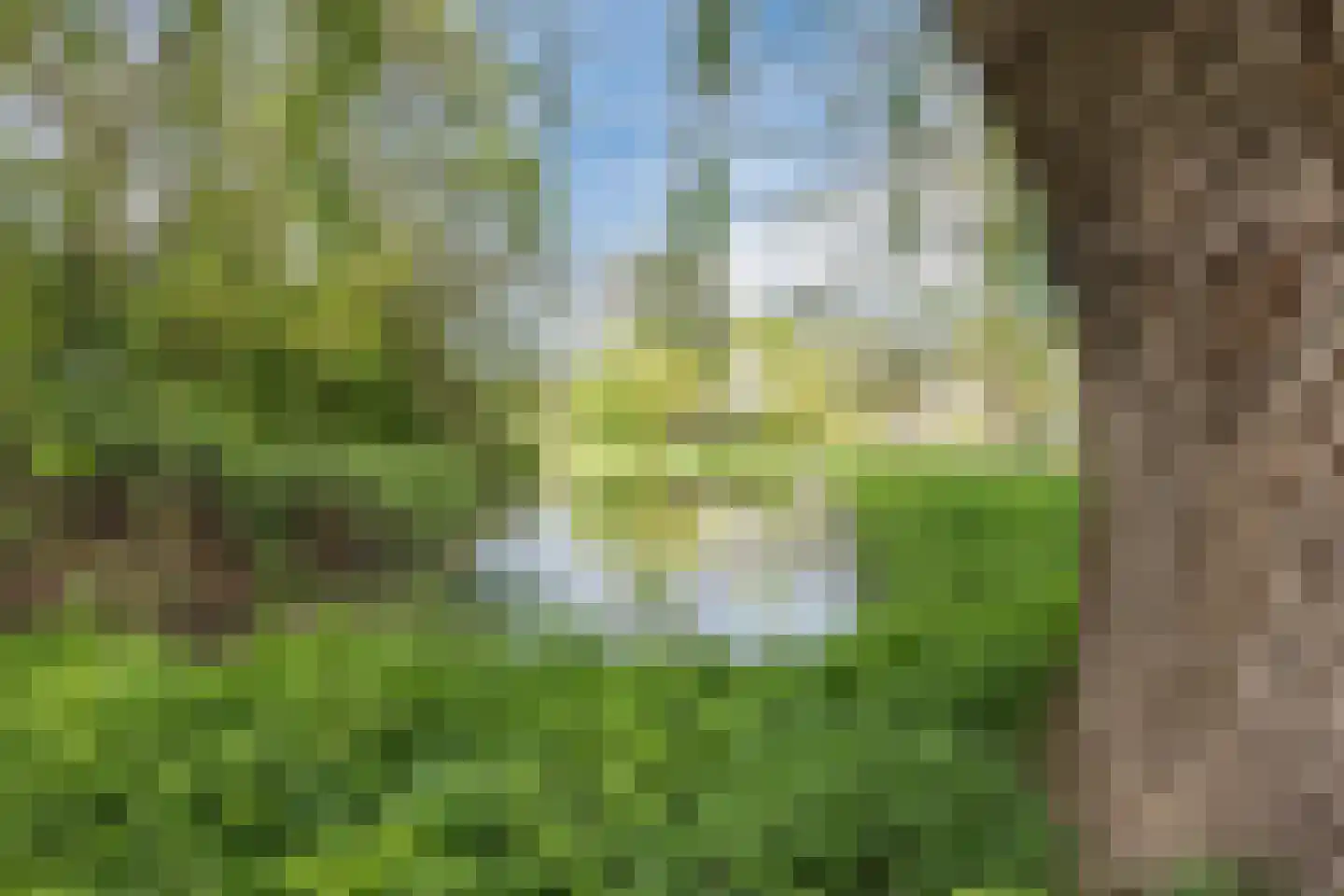 Arnoldipad 3 Schiedam thumbnail 42