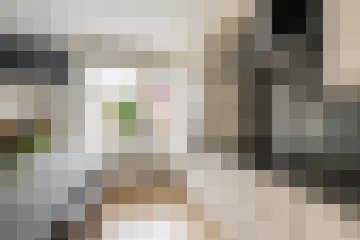 Arnoldipad 35 Schiedam thumbnail 10
