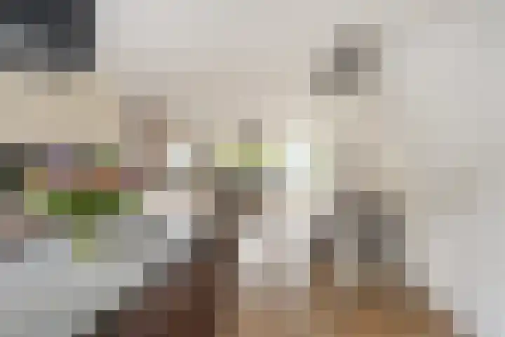 Arnoldipad 35 Schiedam thumbnail 12