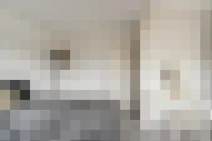 Arnoldipad 35 Schiedam thumbnail 22