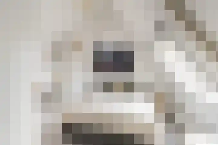 Arnoldipad 35 Schiedam thumbnail 32