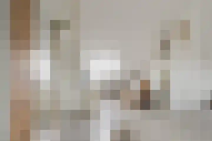 Arnoldipad 35 Schiedam thumbnail 33