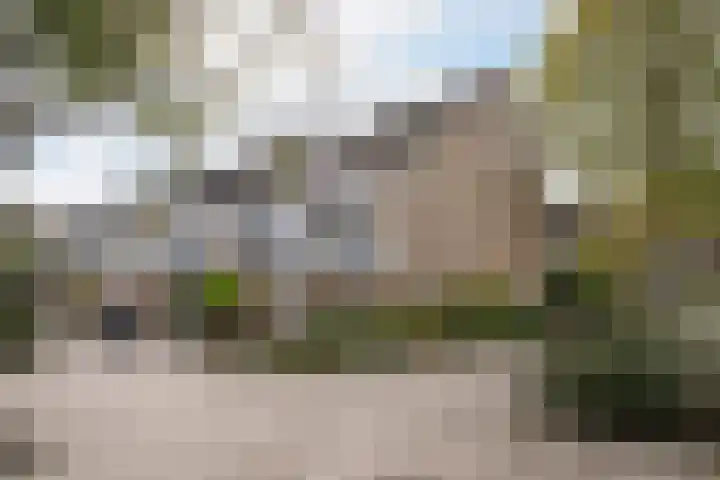 Arnoldipad 35 Schiedam thumbnail 35