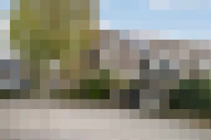 Arnoldipad 35 Schiedam thumbnail 36