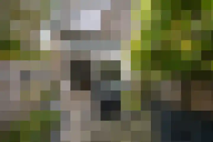 Arnoldipad 35 Schiedam thumbnail 4