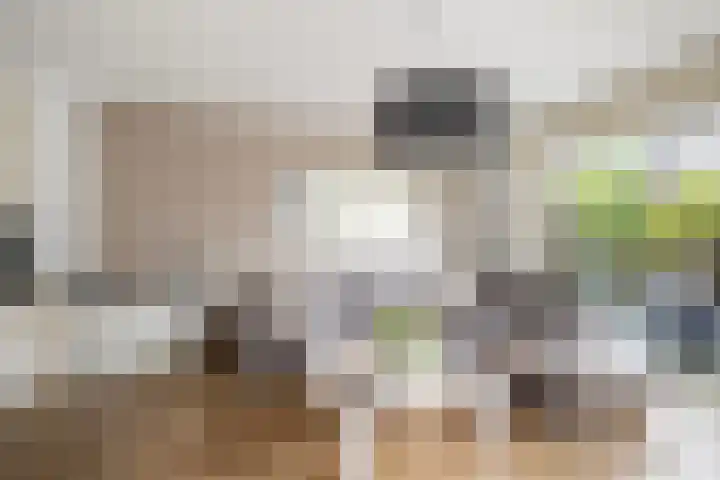 Arnoldipad 35 Schiedam thumbnail 5
