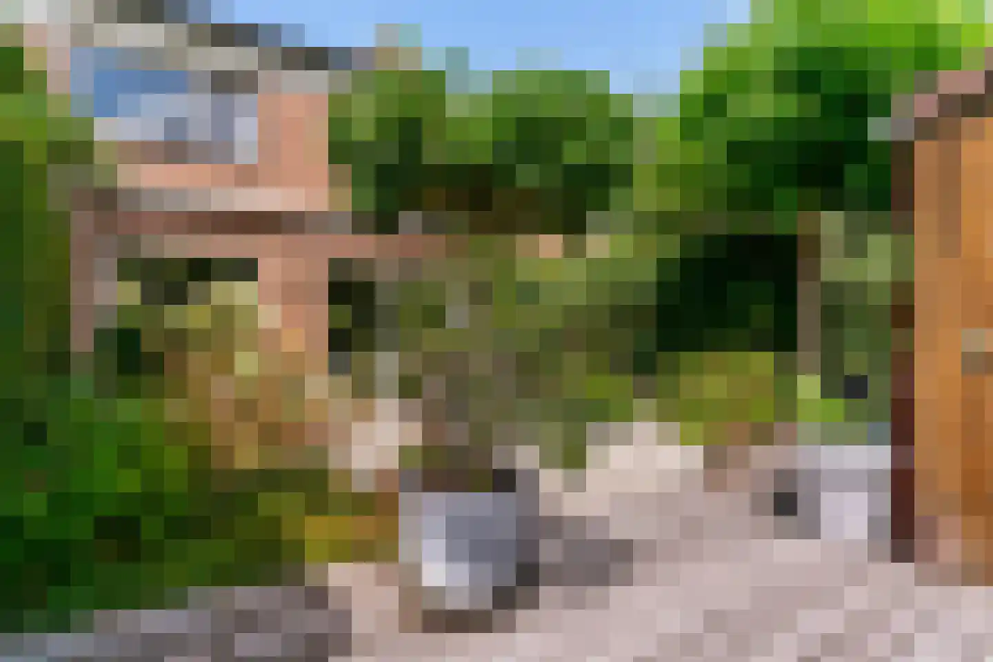 Arnoldsonstraat 17 Castricum thumbnail 38