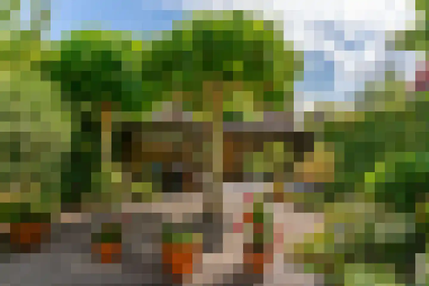 Arnoldsonstraat 17 Castricum thumbnail 4