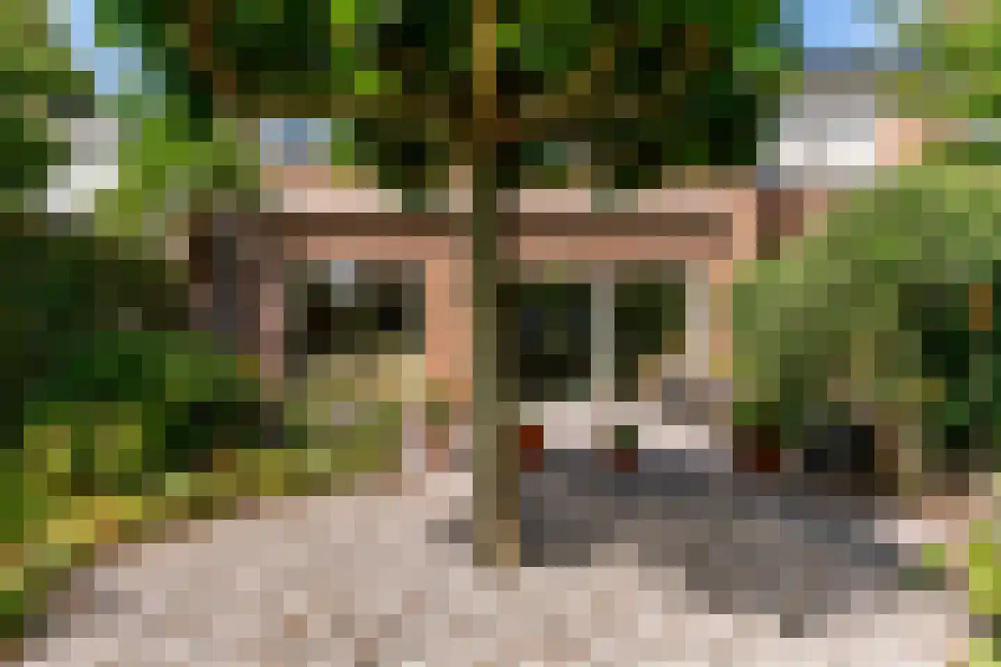 Arnoldsonstraat 17 Castricum thumbnail 40