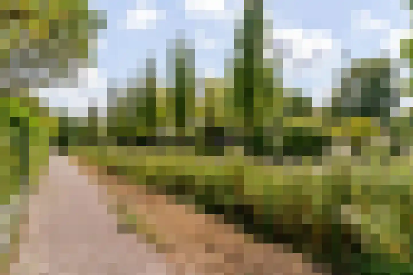 Arnoldsonstraat 17 Castricum thumbnail 43