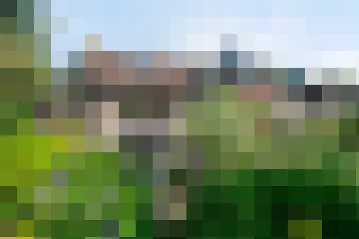 Arnoldsonstraat 53 Rijswijk thumbnail 28