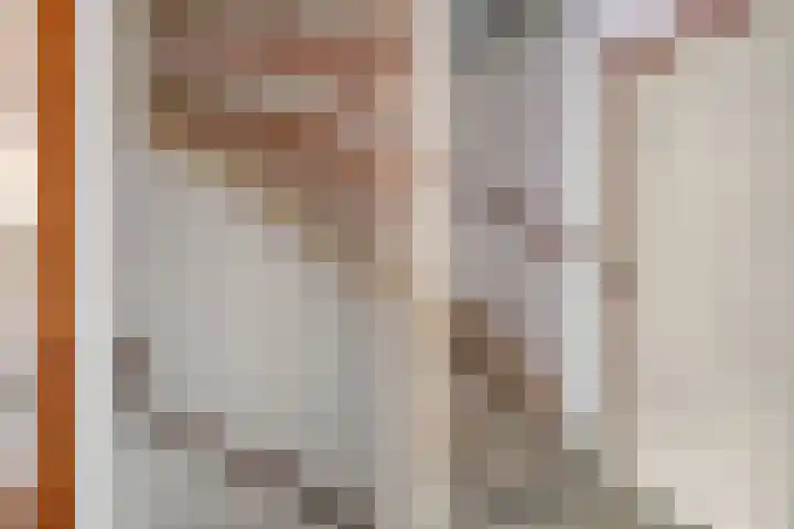 Arnoldsonstraat 53 Rijswijk thumbnail 32