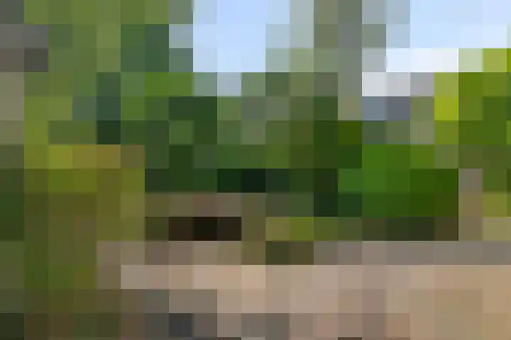 Arnoldsonstraat 53 Rijswijk thumbnail 4