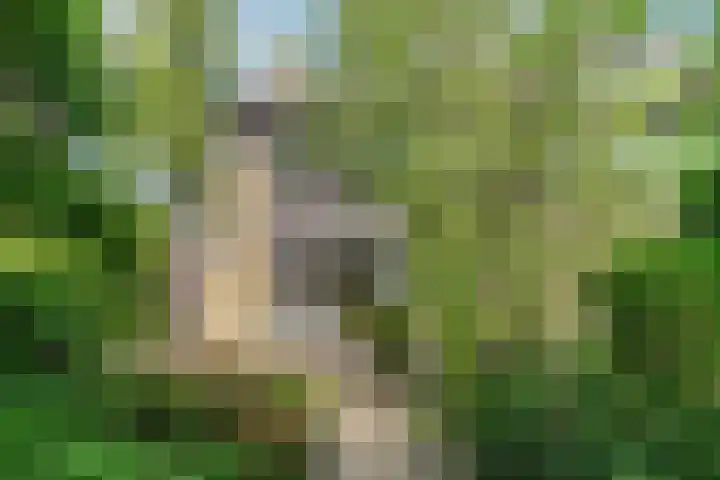 Arnoldsonstraat 53 Rijswijk thumbnail 5