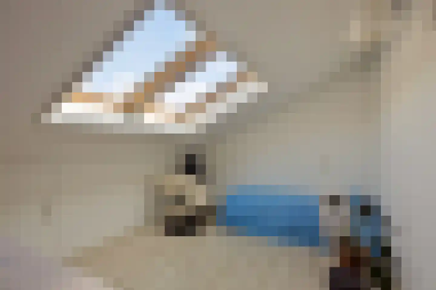 Arnoldsonstraat 8 Castricum thumbnail 36