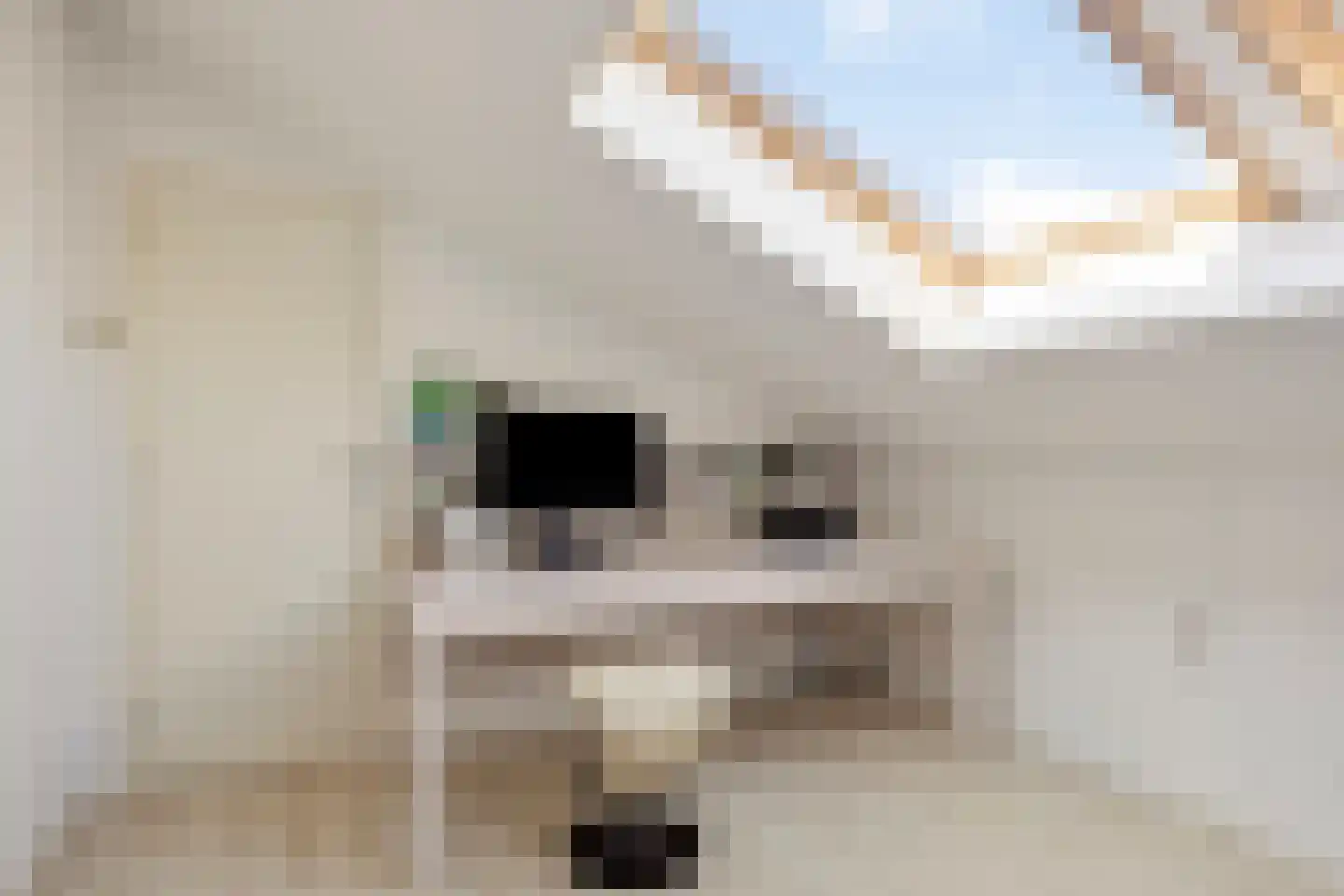 Arnoldsonstraat 8 Castricum thumbnail 37