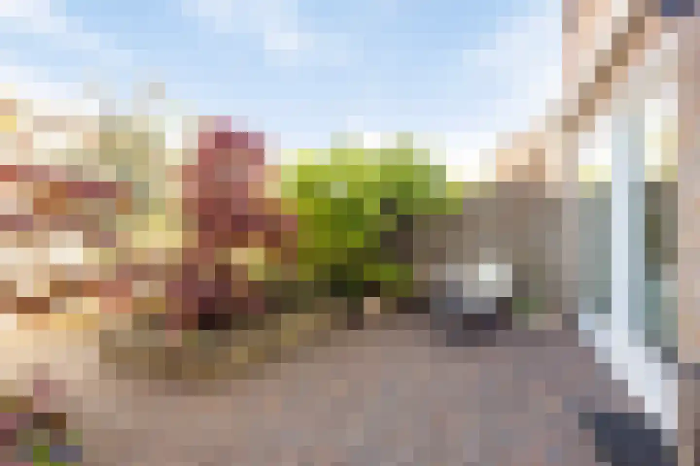 Arnoldsonstraat 8 Castricum thumbnail 40
