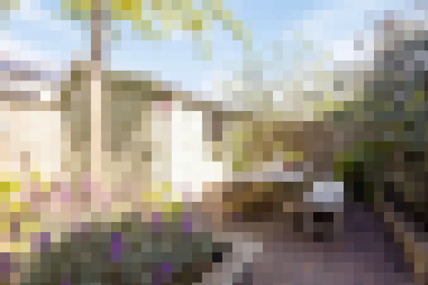 Arnoldsonstraat 8 Castricum thumbnail 43