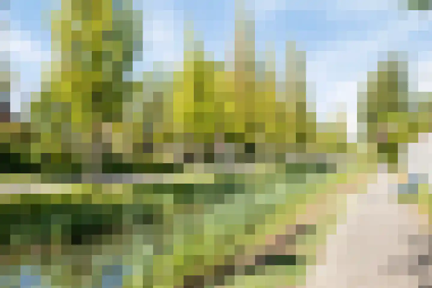 Arnoldsonstraat 8 Castricum thumbnail 49