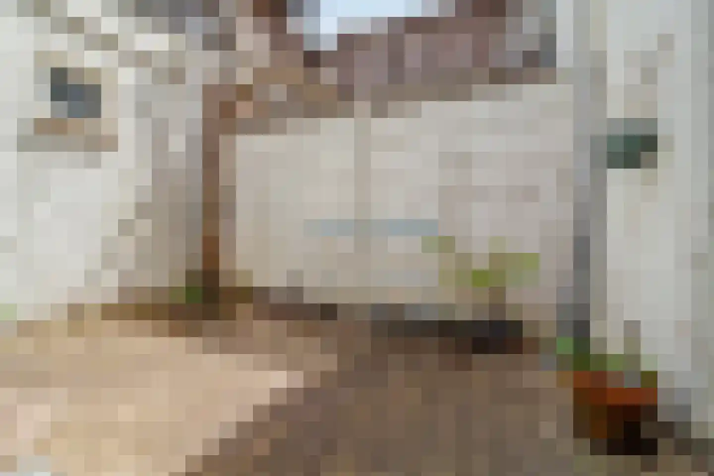 Arnoldstraat 6 Delft thumbnail 5
