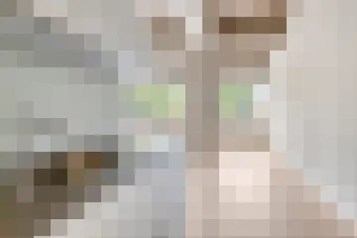 Arnoldus Asselbergsstraat 1 y Bergen op Zoom thumbnail 18