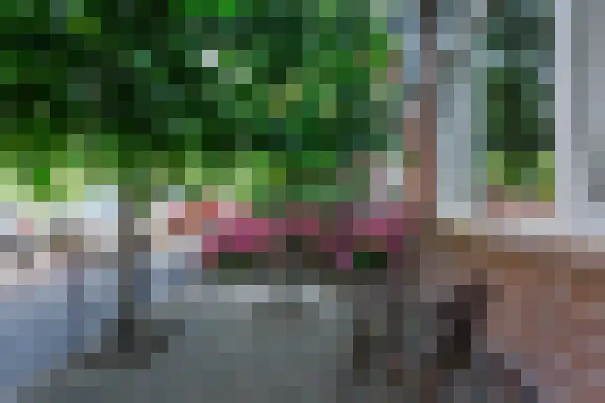 Arnoldus Asselbergsstraat 14 Bergen op Zoom thumbnail 29