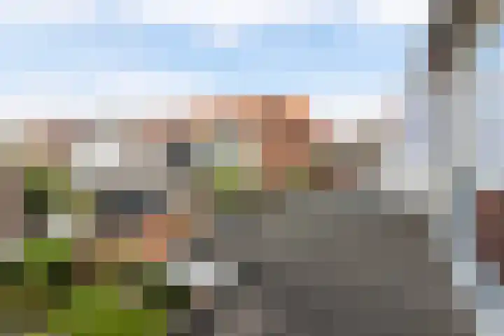 Arnoldus Asselbergsstraat 33 Bergen op Zoom thumbnail 28