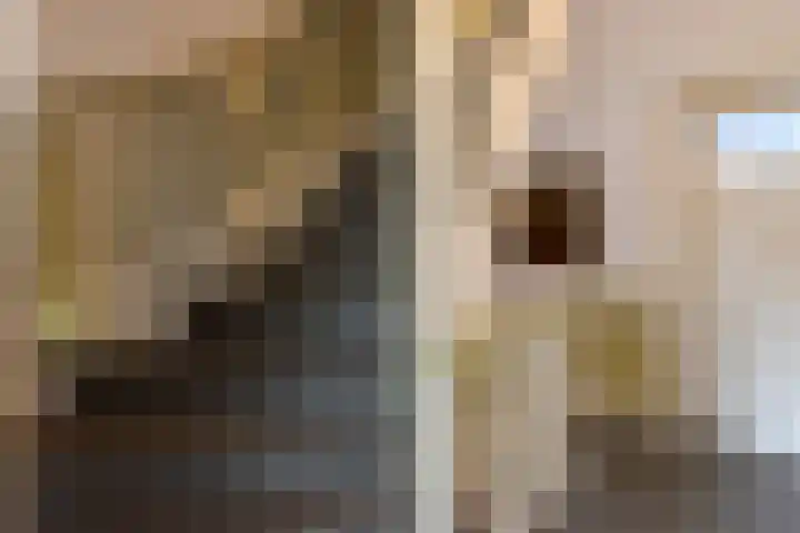 Arnoldus Asselbergsstraat 33 Bergen op Zoom thumbnail 31