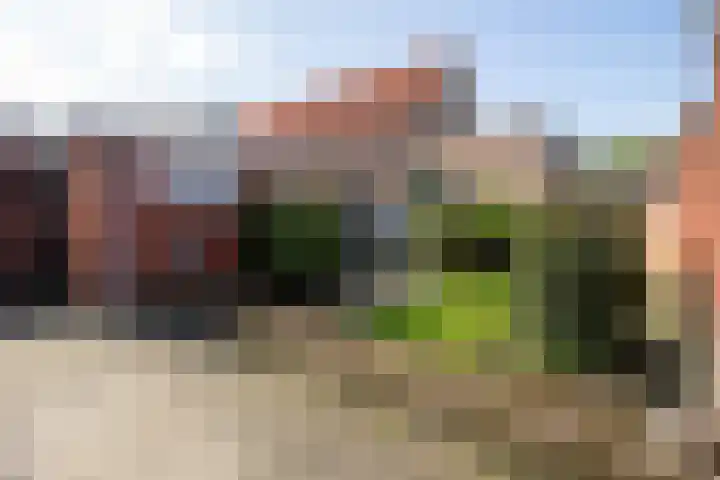 Arnoldus Asselbergsstraat 33 Bergen op Zoom thumbnail 33
