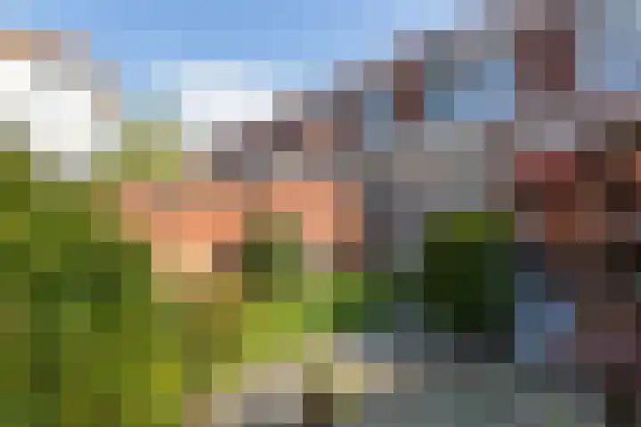 Arnoldus Asselbergsstraat 33 Bergen op Zoom thumbnail 35