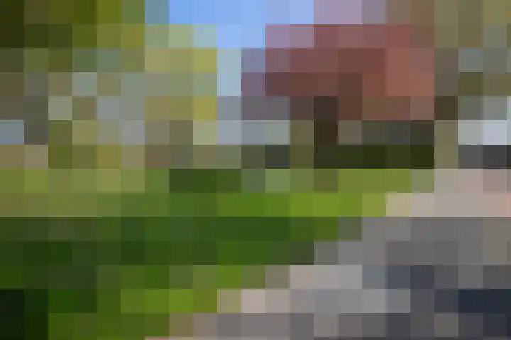 Arnoldus Asselbergsstraat 33 Bergen op Zoom thumbnail 37