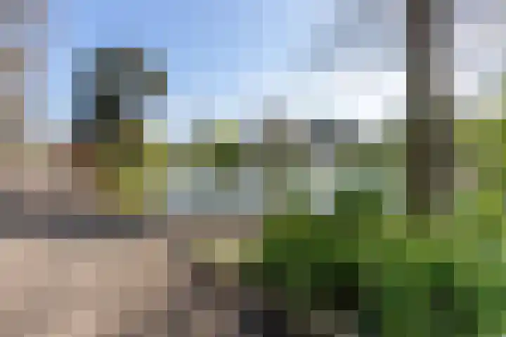 Arnoldus Asselbergsstraat 33 Bergen op Zoom thumbnail 38