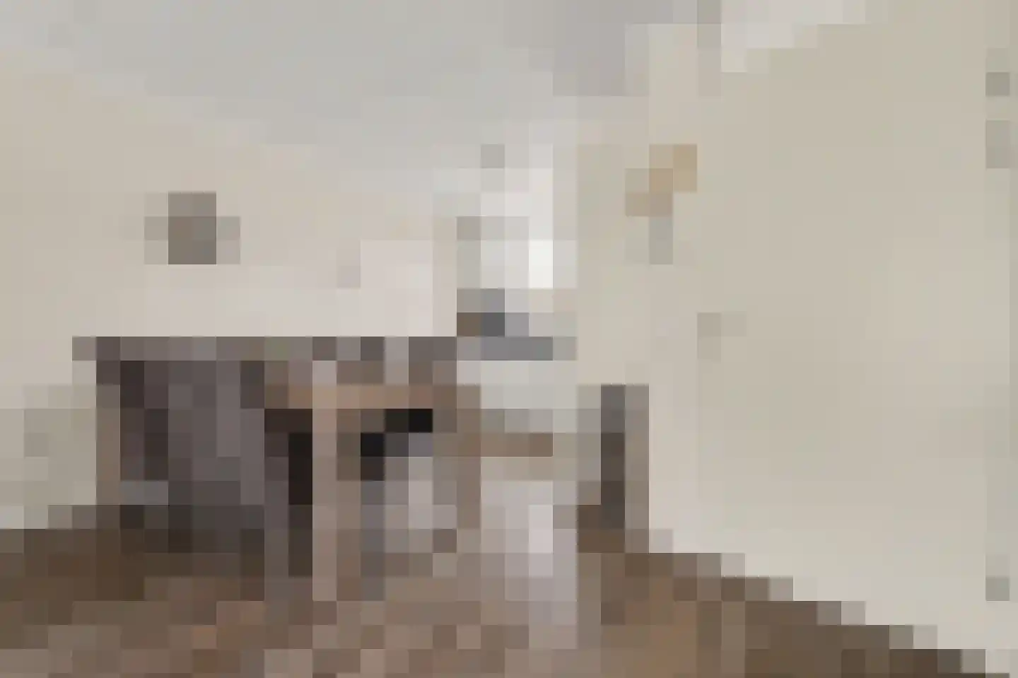 Arnoldus Jacobsstraat 4 Ochten thumbnail 11