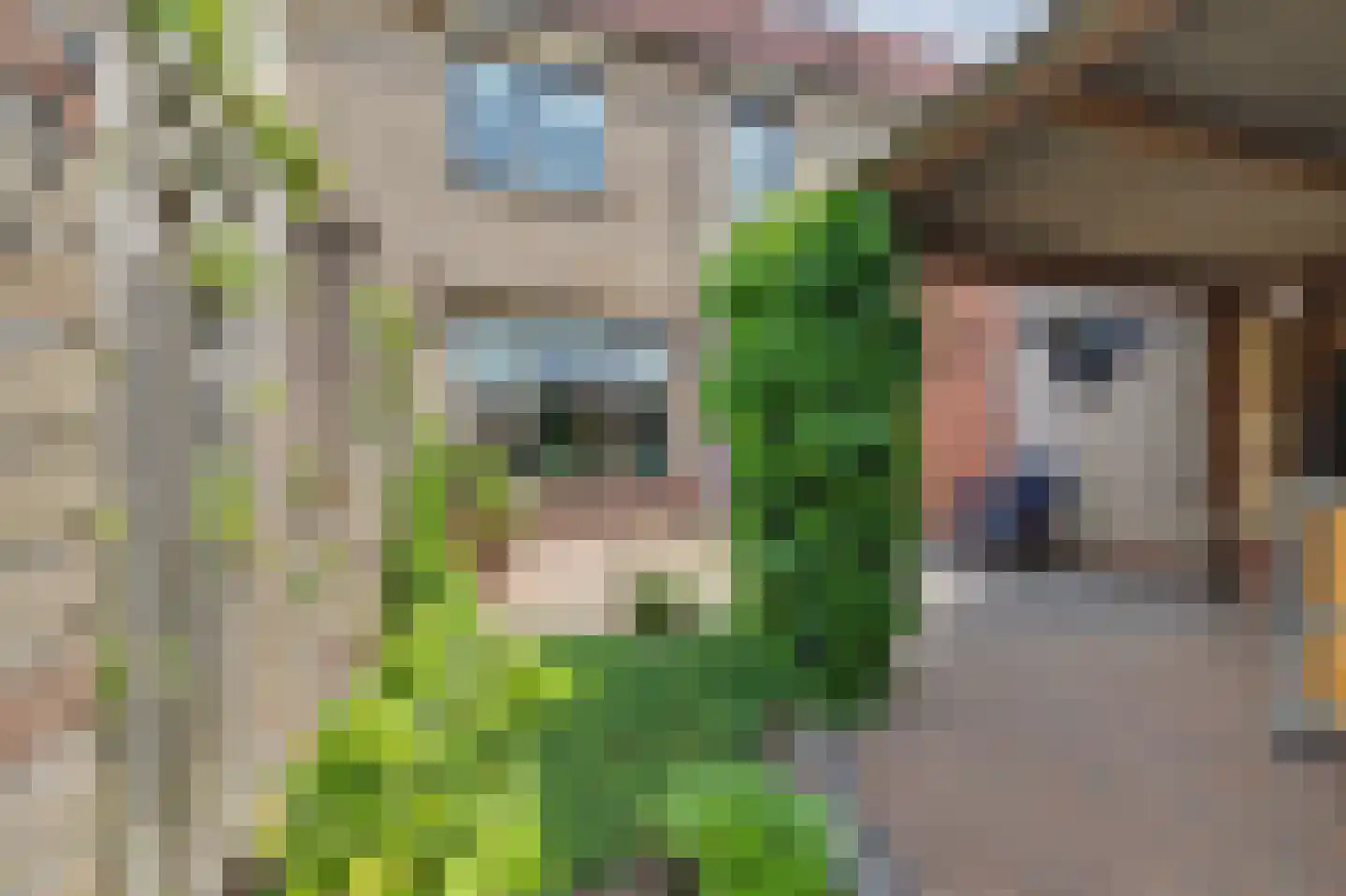 Arnoldus Jacobsstraat 4 Ochten thumbnail 36