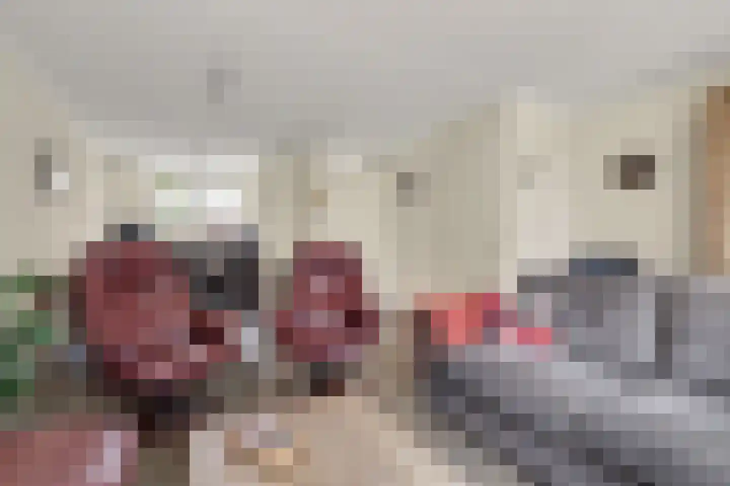 Arnoldus Jacobsstraat 4 Ochten thumbnail 8