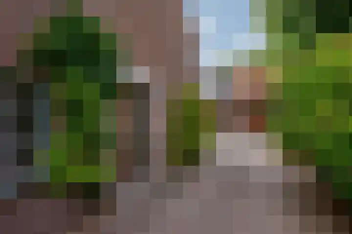Arnoldus Janssenstraat 41 Steyl thumbnail 26