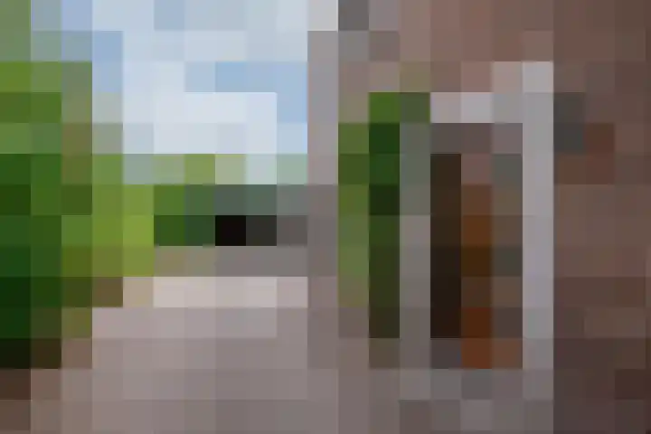 Arnoldus Janssenstraat 41 Steyl thumbnail 27