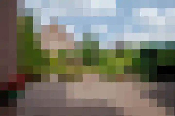 Arnoldus Janssenstraat 41 Steyl thumbnail 28