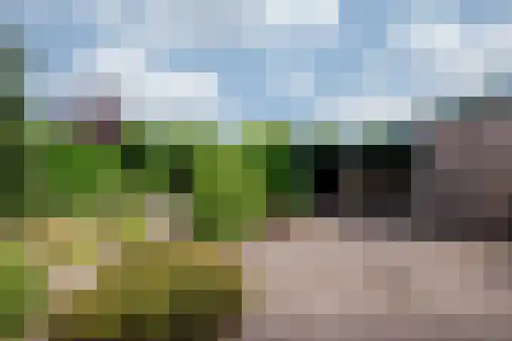 Arnoldus Janssenstraat 41 Steyl thumbnail 29