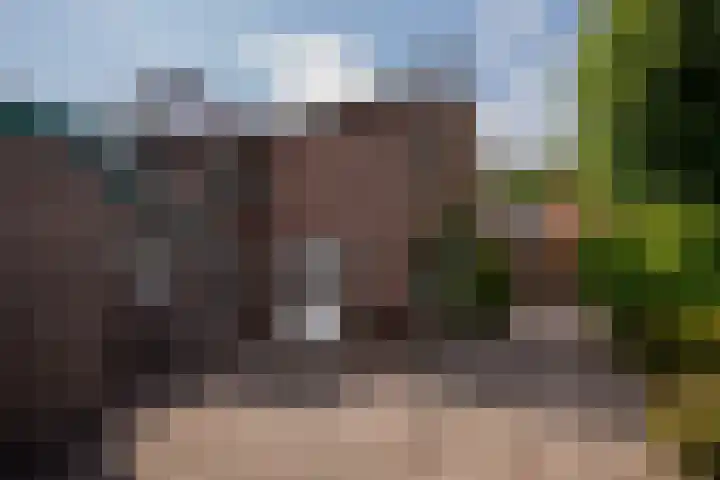 Arnoldus Janssenstraat 41 Steyl thumbnail 30