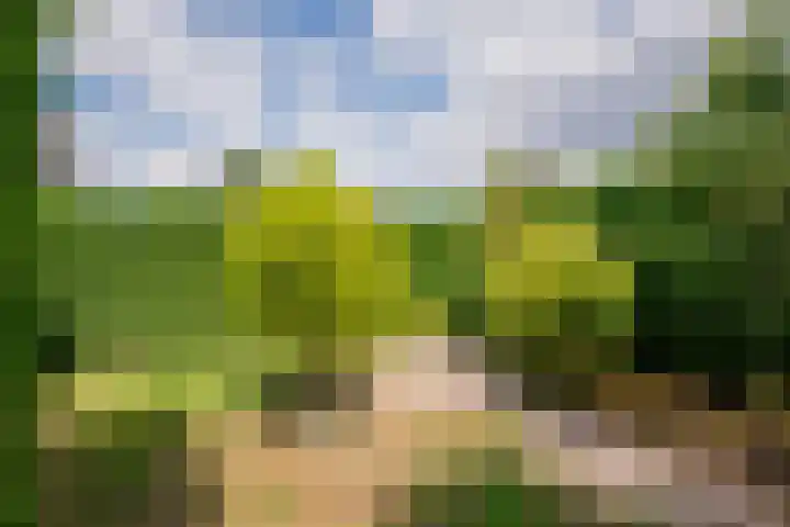 Arnoldus Janssenstraat 41 Steyl thumbnail 32