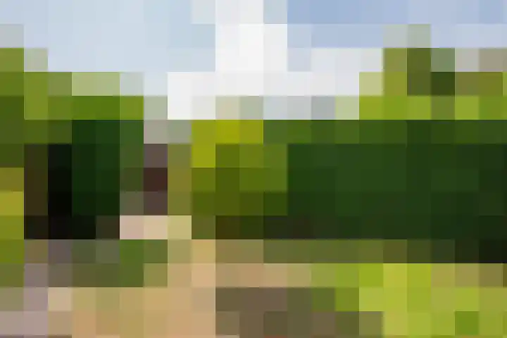 Arnoldus Janssenstraat 41 Steyl thumbnail 33