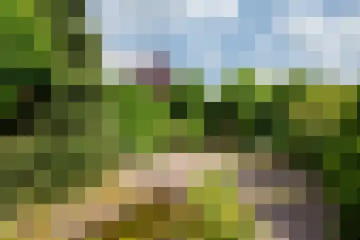 Arnoldus Janssenstraat 41 Steyl thumbnail 34