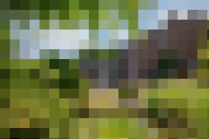 Arnoldus Janssenstraat 41 Steyl thumbnail 36