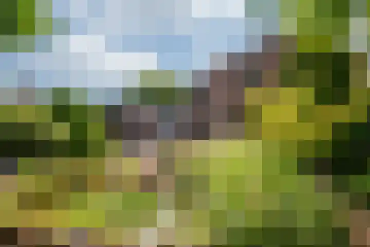 Arnoldus Janssenstraat 41 Steyl thumbnail 37