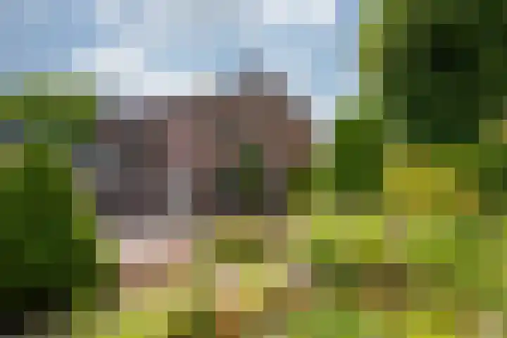 Arnoldus Janssenstraat 41 Steyl thumbnail 39
