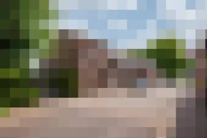 Arnoldus Janssenstraat 41 Steyl thumbnail 43