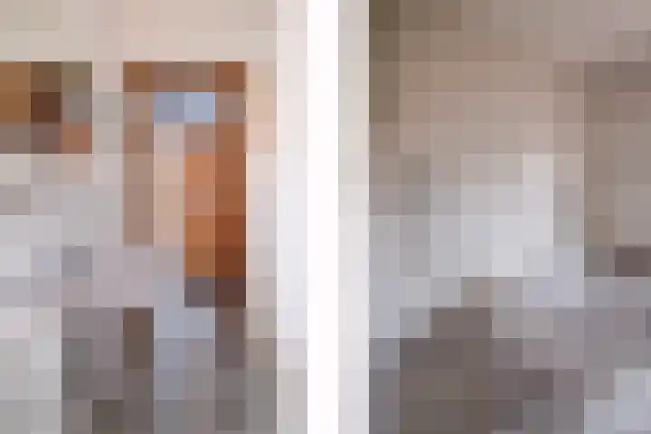 Arnoldus Janssenstraat 41 Steyl thumbnail 6