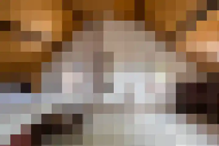 Arnoldus Janssenstraat 58 Steyl thumbnail 23