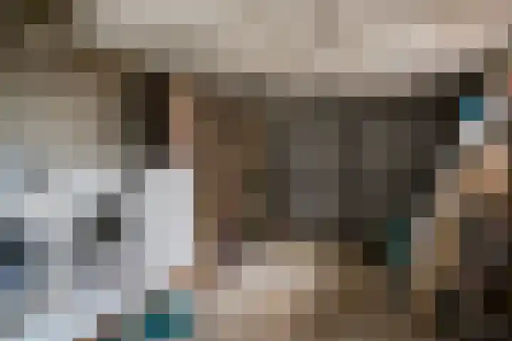 Arnoldus Janssenstraat 58 Steyl thumbnail 26